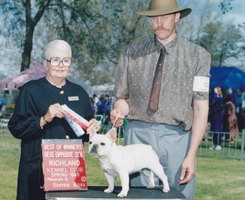 AKC French Bulldog Breeders