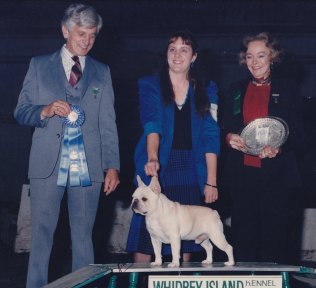 AKC French Bulldog Breeders