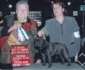 French Bulldog Breeders
