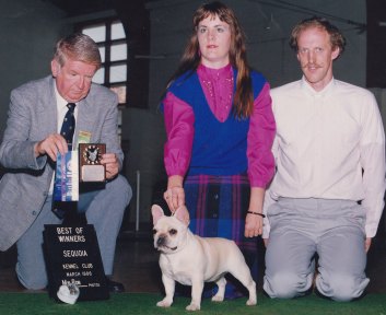 French Bulldog Breeders