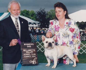 AKC French Bulldog Breeders
