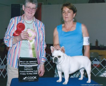 AKC French Bulldog Breeders