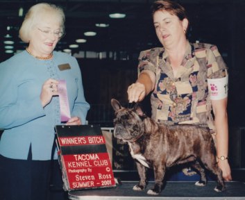 French Bulldog Breeders