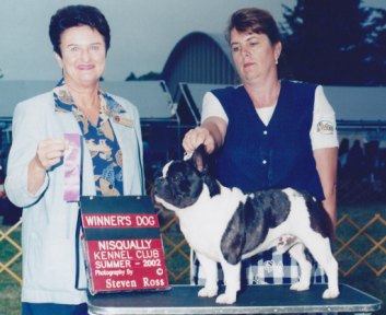 French Bulldog Breeders