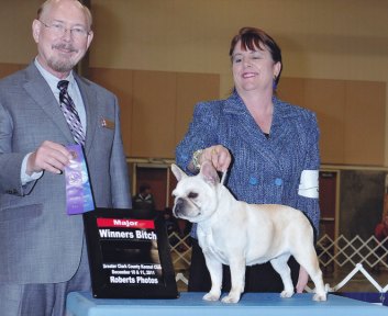 French Bulldog Breeders