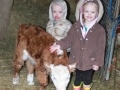BBpups-calfs 028.JPG