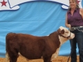 sale-fair 124.JPG