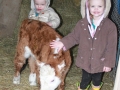 BBpups-calfs 026.JPG