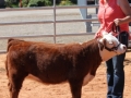 LONGVIEW14 021.JPG