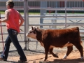 LONGVIEW14 024.JPG