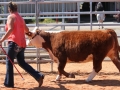 LONGVIEW14 032.JPG