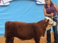 sale-fair 129.JPG