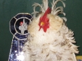 puyalup 011.JPG