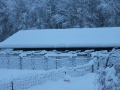 1-19-12 015.jpg