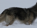 1-19-12 027.jpg