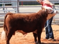 LONGVIEW14 042.JPG