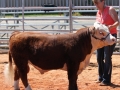 LONGVIEW14 052.JPG