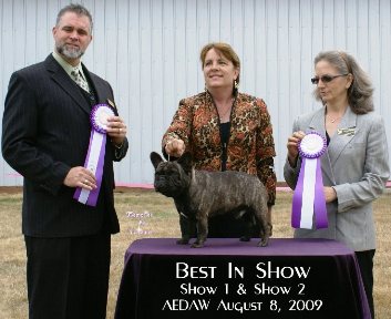 French Bulldog Breeders