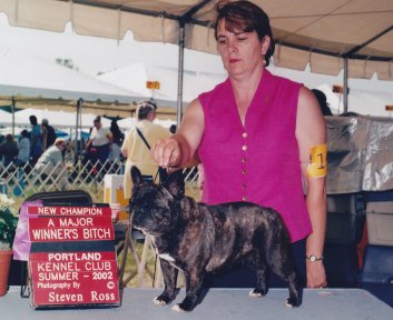 French Bulldog Breeders