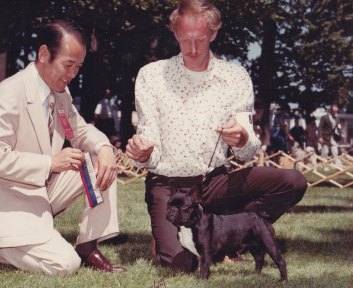 AKC French Bulldog Breeders
