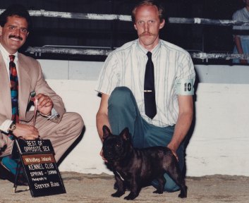 AKC French Bulldog Breeders