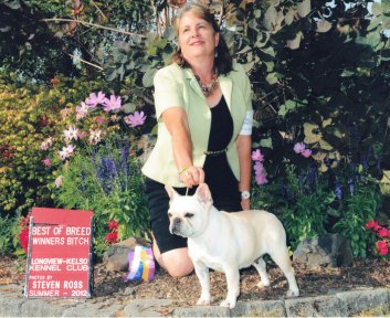AKC French Bulldog Breeders